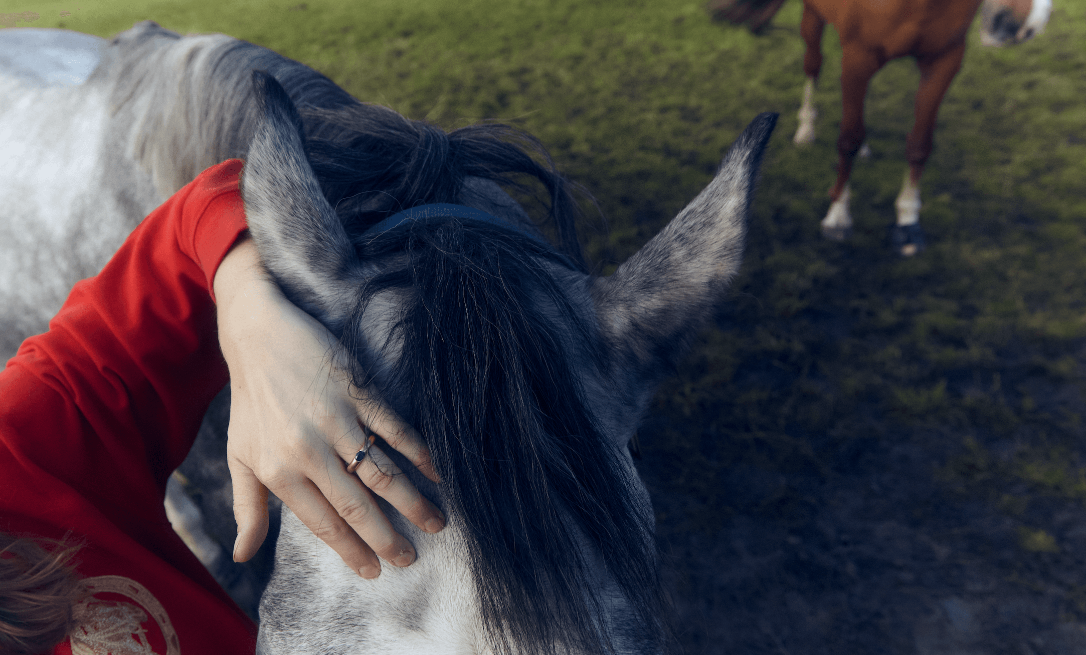 AW23 Stella McCartney 'Healing power of horses' campaign